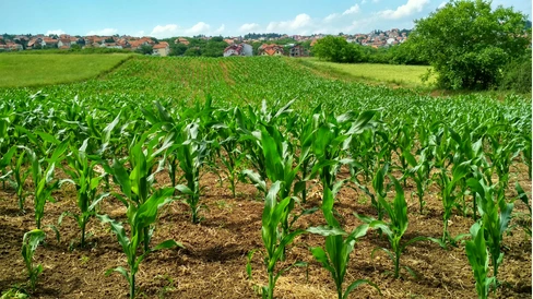 agri stack